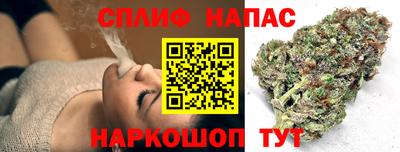 стаф Будённовск