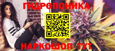 стаф Будённовск