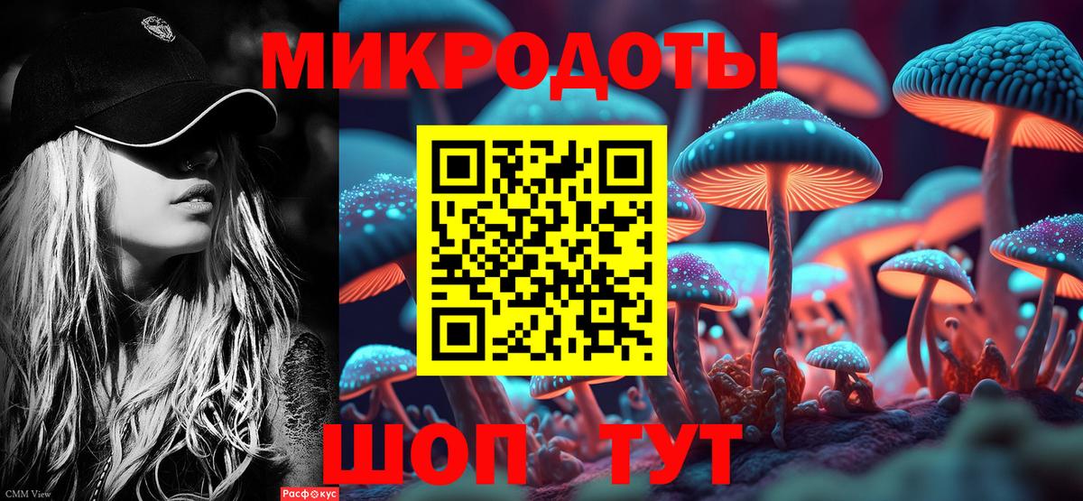 Галлюциногенные грибы Psilocybe Рузаевка