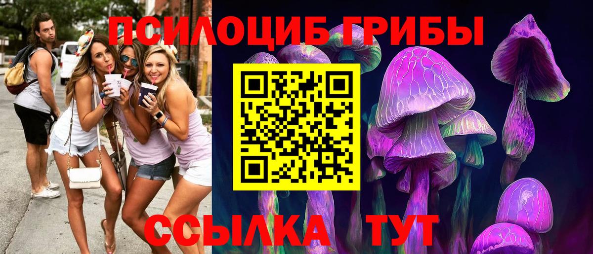 Рузаевка  Галлюциногенные грибы MAGIC MUSHROOMS  Вход с VPN  Псилоцибиновые грибы ЛСД 